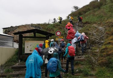 Trail Walking Martigny - le sentier des adonis  - Photo