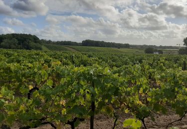 Tour Wandern Pons - Pons et les seugnes - Photo