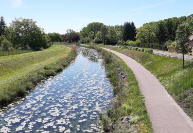 Excursión Senderismo Méry-sur-Seine - entre Méry sur Seine et Saint-Oulph - Photo