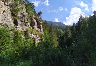 Trail Walking Marktgemeinde Zirl - Zirl - Photo