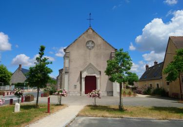 Percorso Marcia Montreuil-en-Touraine - Montreuil-en-Touraine - 11.7km 80m 2h55 (25mn) - 2023 06 11 - Photo