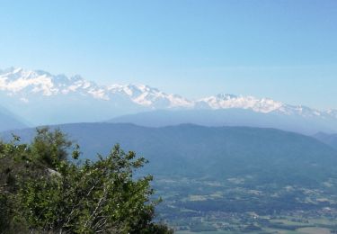 Tour Wandern La Thuile - LA SAVOYARDE - Photo