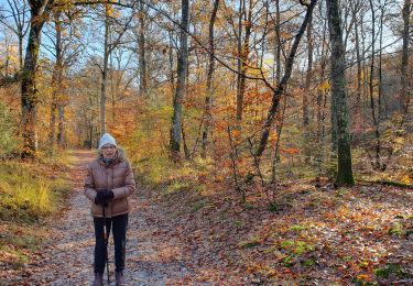 Trail Walking Fontainebleau - aaaa - Photo