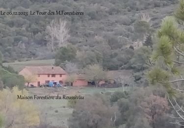 Trail Walking Saint-Raphaël - Boucle autour des M. Forestières depuis Roussivau - Photo