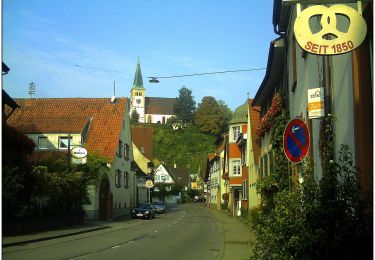 Randonnée A pied Bahlingen - Katharinenpfad - Photo