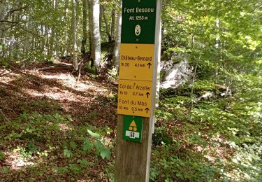 Trail Walking Château-Bernard - tête des chaudières et rocher de la Balme  - Photo