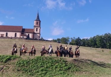 Trail Horseback riding Saint-Pierre-Bois - 2022-09-11 Picnic CVA St Gilles Bernstein Ortenbourg - Photo
