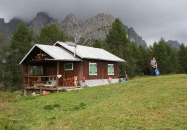 Tocht Te voet Calalzo di Cadore - IT-260 - Photo