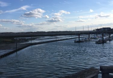 Trail Walking Le Crotoy - Baie de somme - Photo