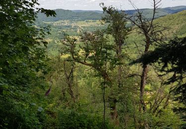 Trail Walking Le Tholy - les cascades - Photo