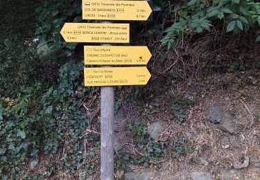 Trail Walking Borce - gr10 de force au col de barrancq - Photo