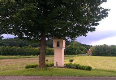 Randonnée A pied Mitterdorf an der Raab - Wanderweg 12 - Photo