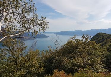Trail Walking Ghiffa - belvedere ghiffa - Photo