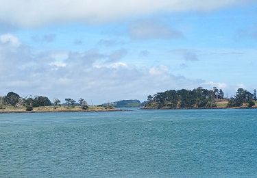 Tour Wandern Arzon - Port Navallo - Photo