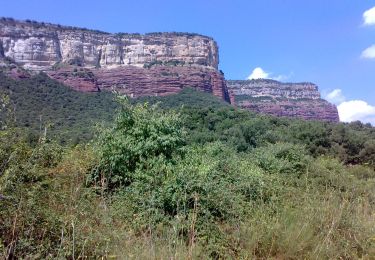 Tour Zu Fuß Vilanova de Sau - Ruta de les carboneres - Photo