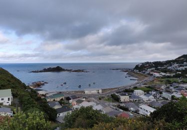 Tour Zu Fuß  - City to Sea Walkway - Photo