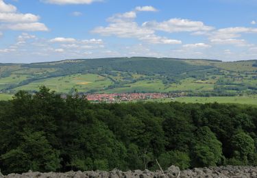 Excursión A pie Ehrenberg - Zubringer Wüstensachsen - Photo