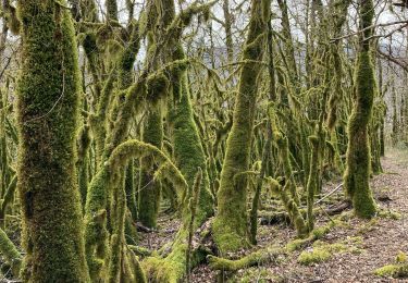 Percorso Marcia Thoirette-Coisia - Thoirette-Turgon-Thoirette - Photo