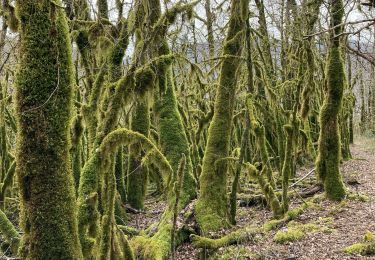 Randonnée Marche Thoirette-Coisia - Thoirette-Turgon-Thoirette - Photo