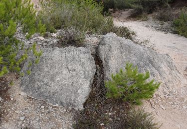 Excursión Senderismo Martigues - les carrières de La Couronne  - Photo