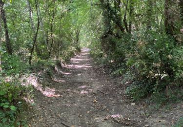 Excursión Senderismo Tharaux - Tharaux - Photo