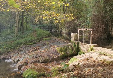 Trail Walking Arcenant - Arcenant - Sentier Marianne - Roches du Châtelet - Photo