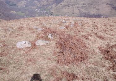 Trail Walking Benque-Dessous-et-Dessus - 2021- 02 - 26 Benqué - cromelech - croix de Garin - Photo