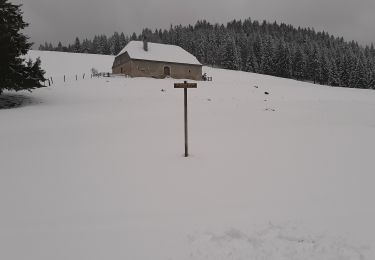 Tour Schneeschuhwandern Mouthe - Mouthe 20200309 - Photo
