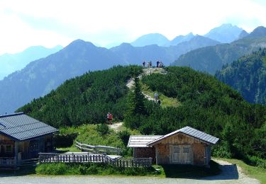 Percorso A piedi Schladming - Wanderweg 60 - Photo