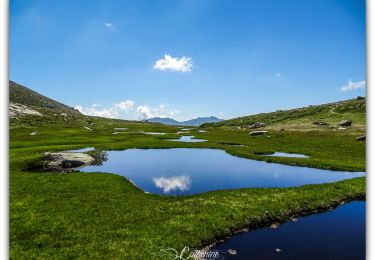 Excursión Senderismo Bastelica - les Pozzi - Bastelica(cat2a) - Photo