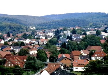 Tour Zu Fuß Altenbeken - Durbeke-Steig (Naturerbe Wanderwelt Altenbeken) - Photo