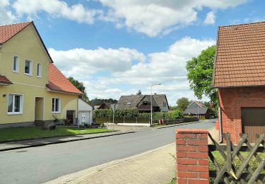 Tour Zu Fuß Wunstorf - S3 Rundweg um Steinhude-Großenheidorn - Photo