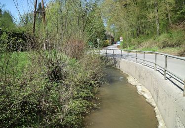 Trail On foot Haselsdorf-Tobelbad - Haselsdorf-Tobelbad 2 - Photo