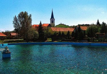 Tour Zu Fuß Bodajk - P (Bodajki piros sáv) - Photo