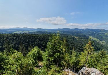 Excursión Senderismo Les Rousses - Les Rousses - Gros Crétet - Roche blanche (grande boucle) - Photo