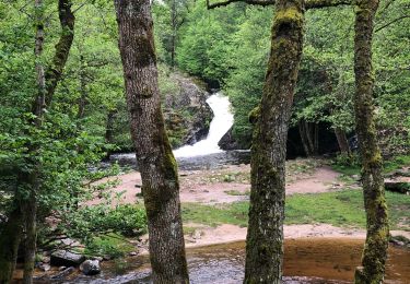 Tocht Stappen Gouloux - Saut du Gouloux - Photo