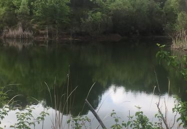 Tour Wandern Bagnols-en-Forêt - Adrech de bataillon  - Photo