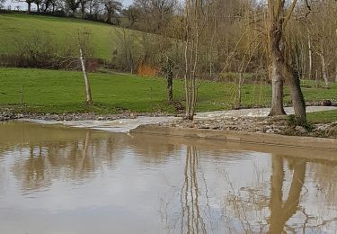 Randonnée Marche Chemillé-en-Anjou - Chanzeaux - Photo