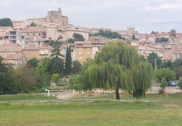 Trail Electric bike Esparron-de-Verdon - Riez plateau de Valensole - Photo