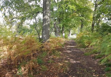 Tocht Stappen Diepenbeek - Diepenbeek - Photo