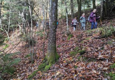 Trail Walking Masevaux-Niederbruck - Masevaux  - Photo