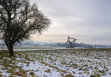 Tocht Te voet Kremsmünster - Kremsmünsterer Rundwanderweg 10 - Photo