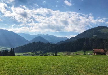 Trail On foot Schüpfheim - Luswald - Obstaldenegg - Photo