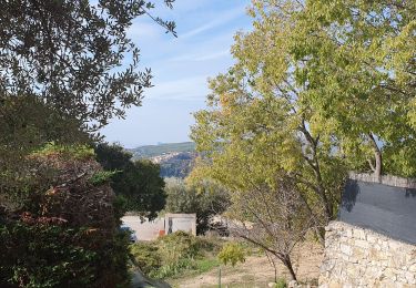 Tour Wandern Le Beausset - Le castellet au départ du Beausset - Photo