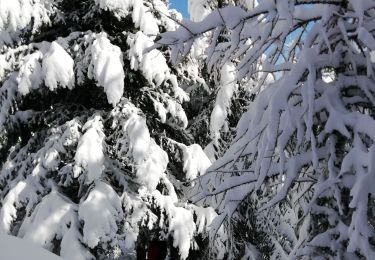 Tour Nordic Walking Montricher-Albanne - les Karellis  - Photo