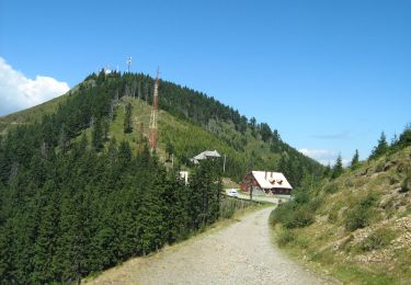 Trail On foot Calimanesti - gara CFR Mănăstirea Turnu - Refugiul Turneanu - Cabana Cozia - Photo