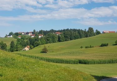 Percorso Marcia Longatico - Rovte, Rovte, Slovenija - Photo