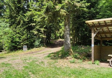 Percorso Mountainbike Ternuay-Melay-et-Saint-Hilaire - ternuay, ballon de servante par belfahy  - Photo