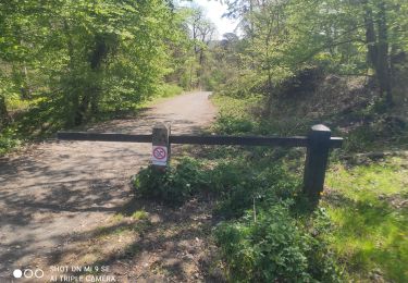 Randonnée V.T.C. Dammarie-les-Lys - rando vélo - Photo