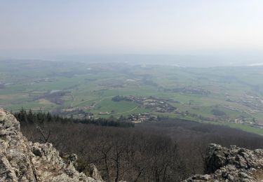 Tocht Stappen Les Haies - Montmonnet 18-3-22 - Photo